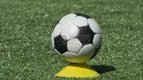 乐竞体育 产品 114813 55g