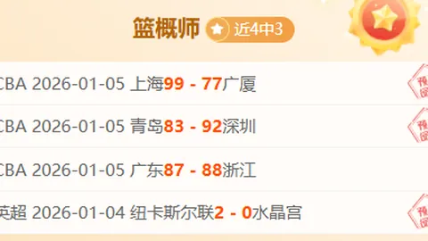 霍芬海姆对阵勒沃库森：德甲第3轮焦点之战